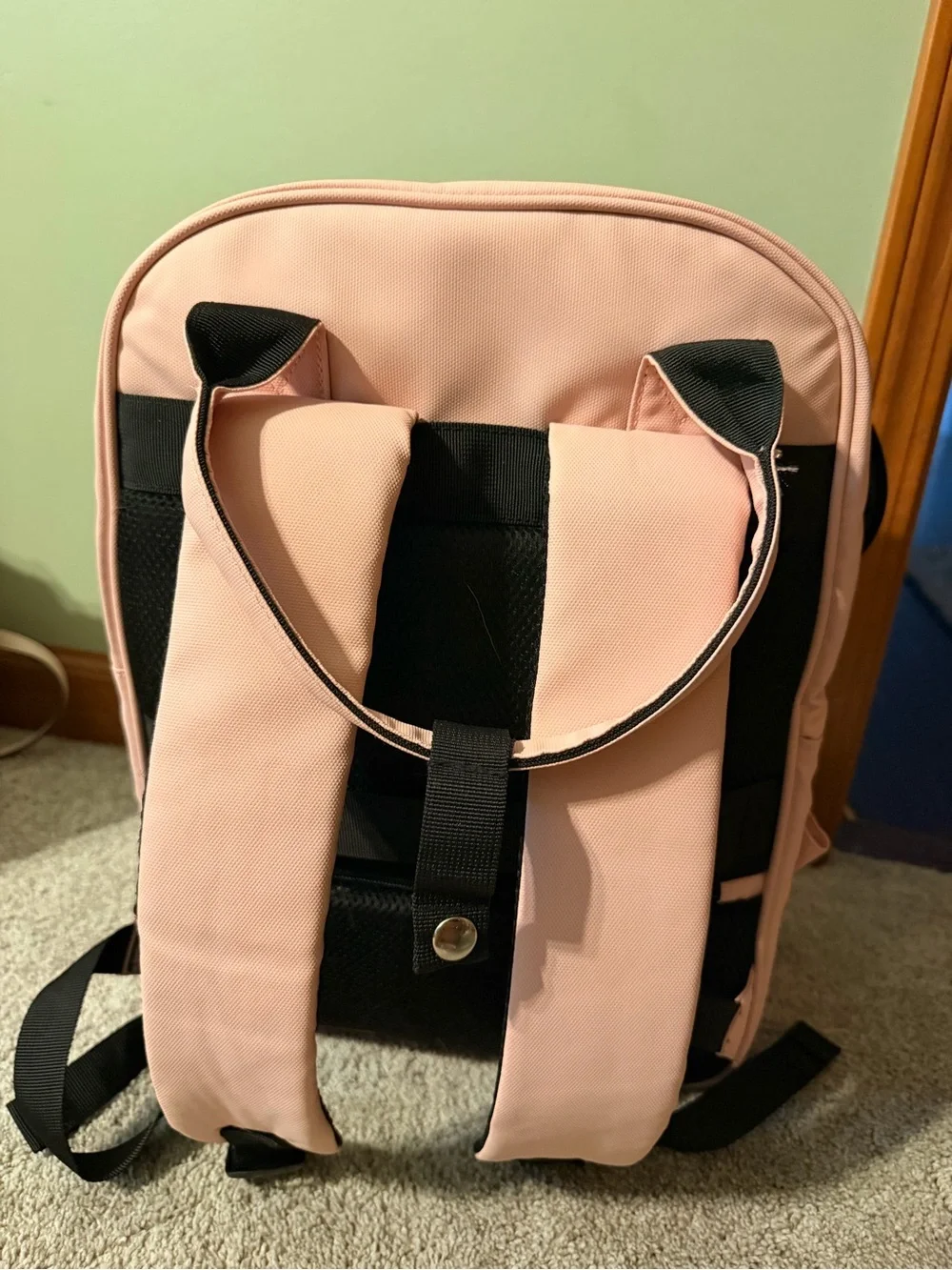 Pink Travel Backpack - or school bag